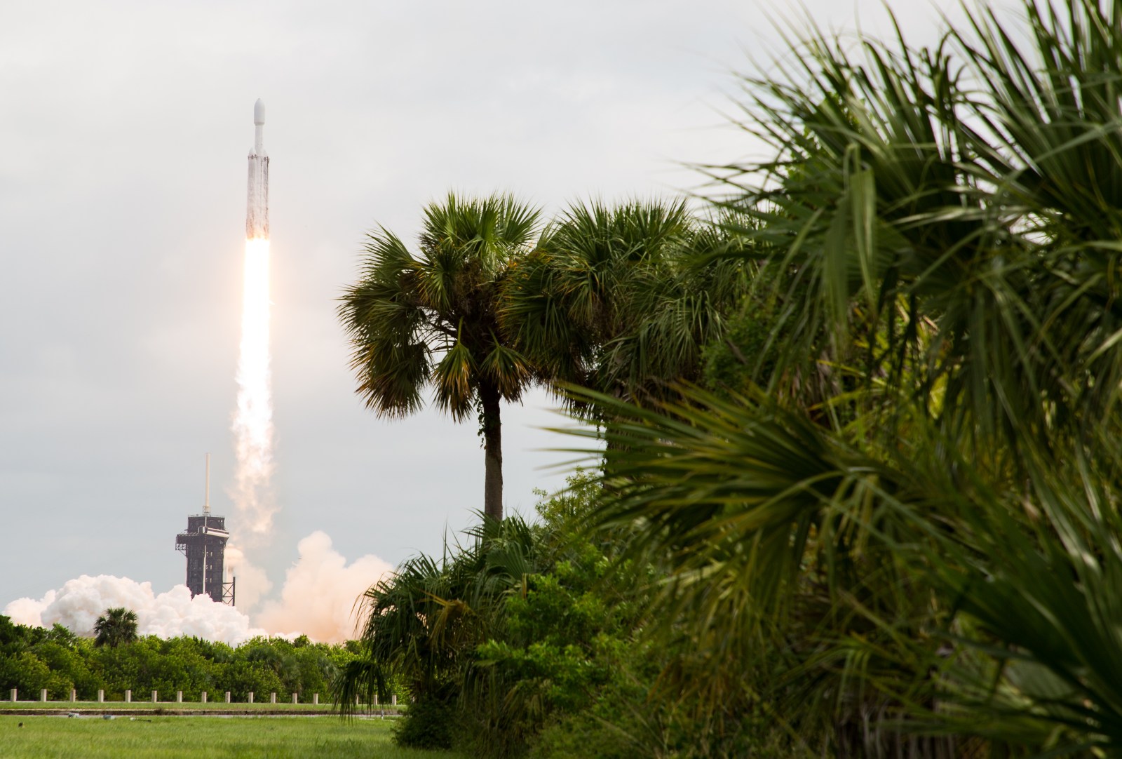 A Falcon Heavy climbs on a bright exhaust plume, with palms in the foreground and its launch tower below.