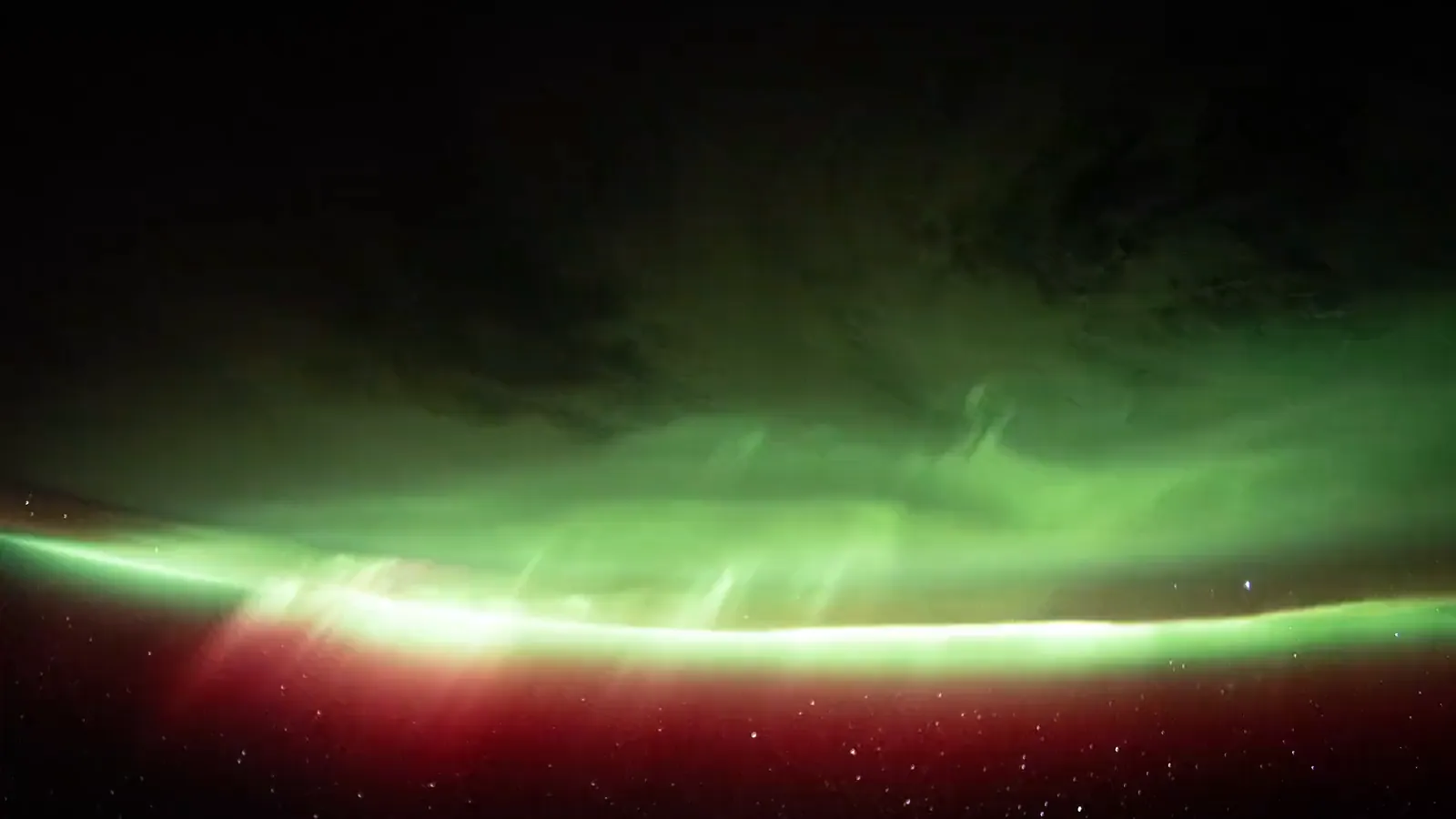 Video: luminous green aurora curtains with a red upper fringe ripple above the dark curve of the Earth, with stars below.